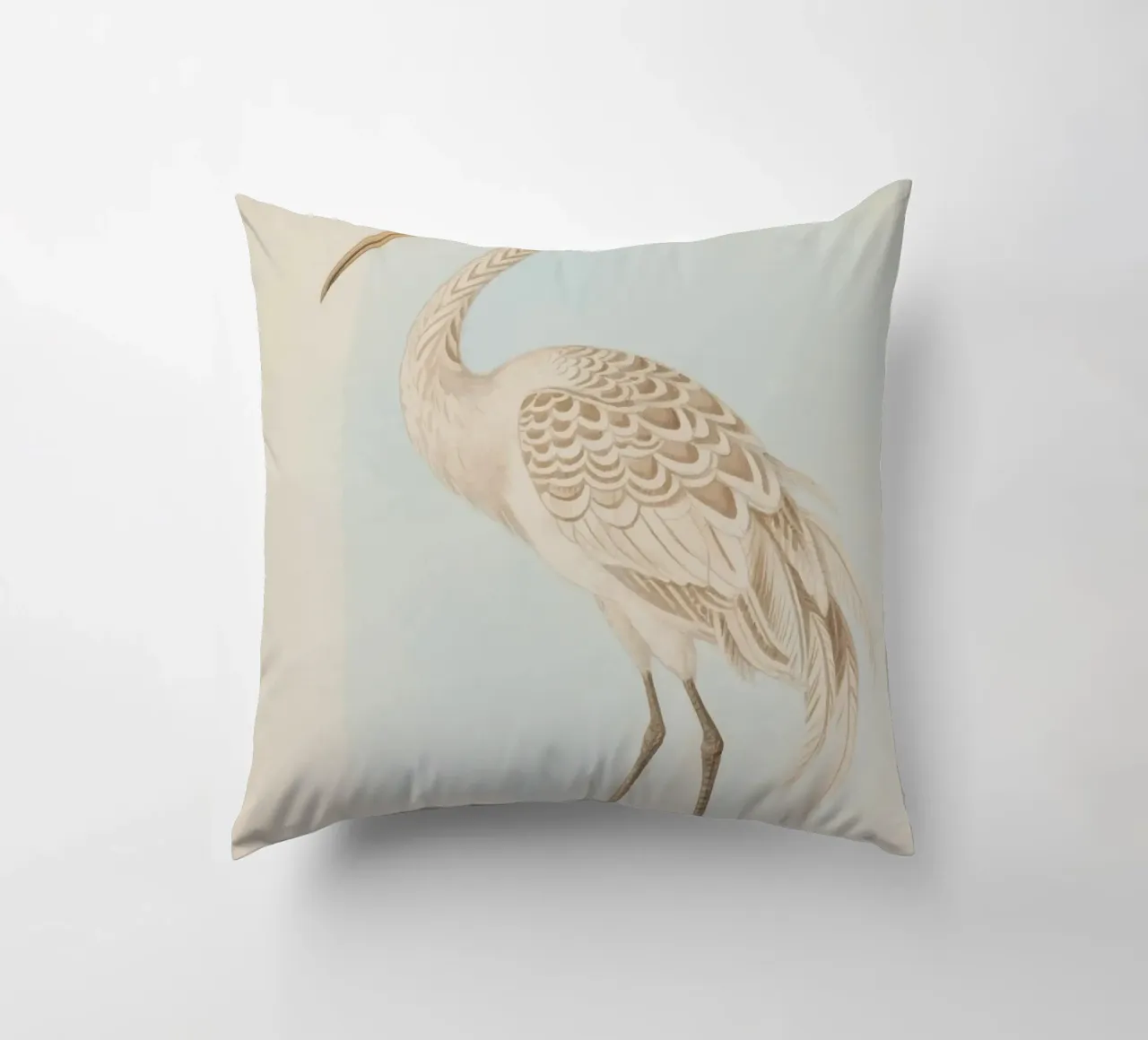 Ibis cuscino da knowledge