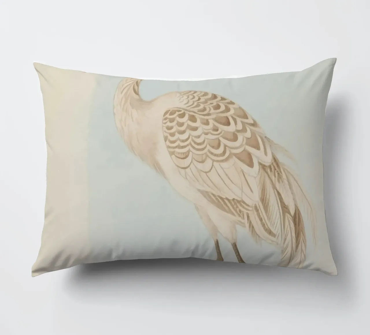 Ibis cuscino da knowledge