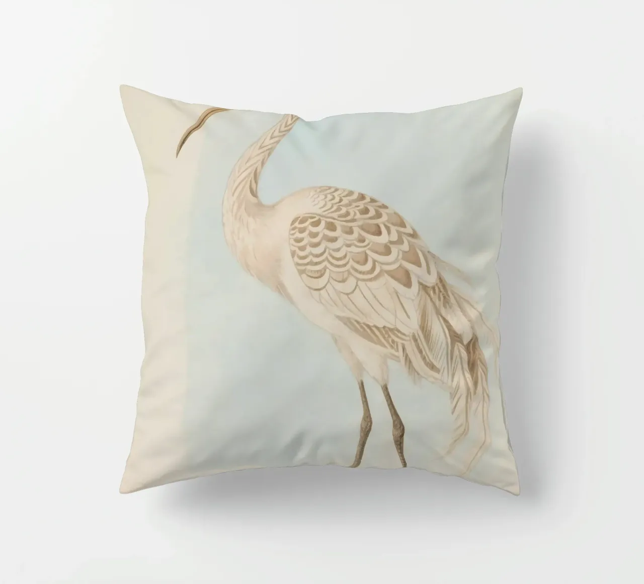 Ibis cuscino da knowledge