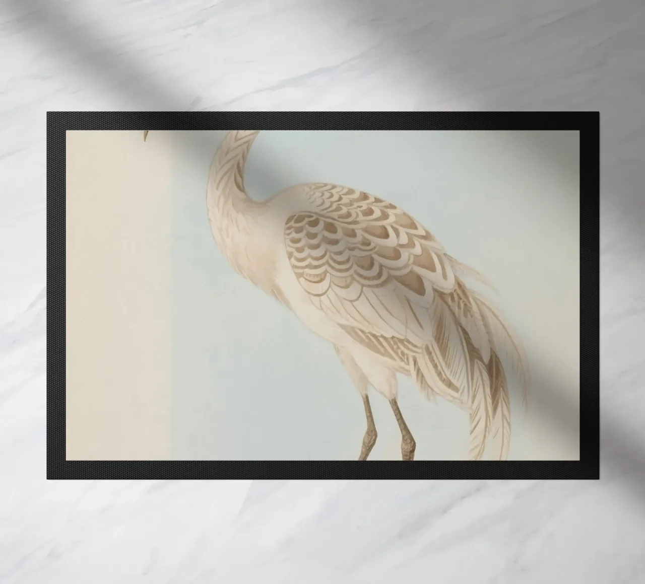 Ibis zerbino da knowledge