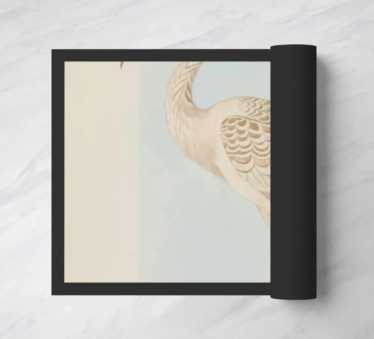 Ibis zerbino da knowledge