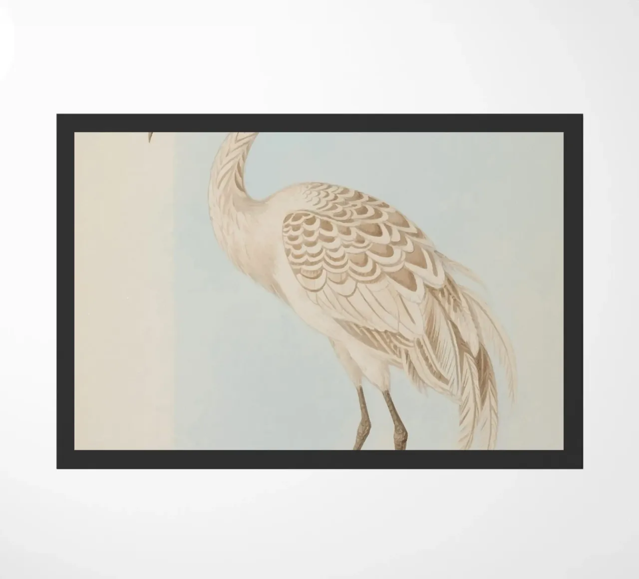 Ibis zerbino da knowledge