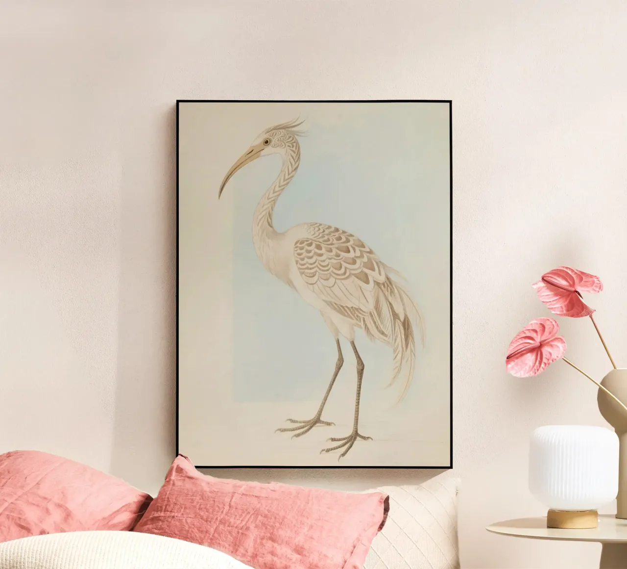 Ibis plexiglass da knowledge