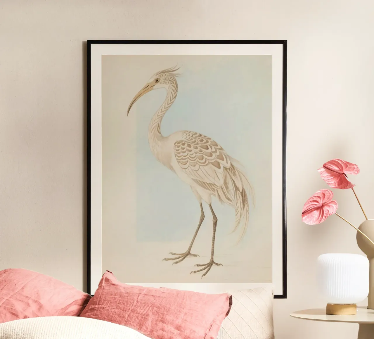 Ibis poster con telaio in plastica da knowledge
