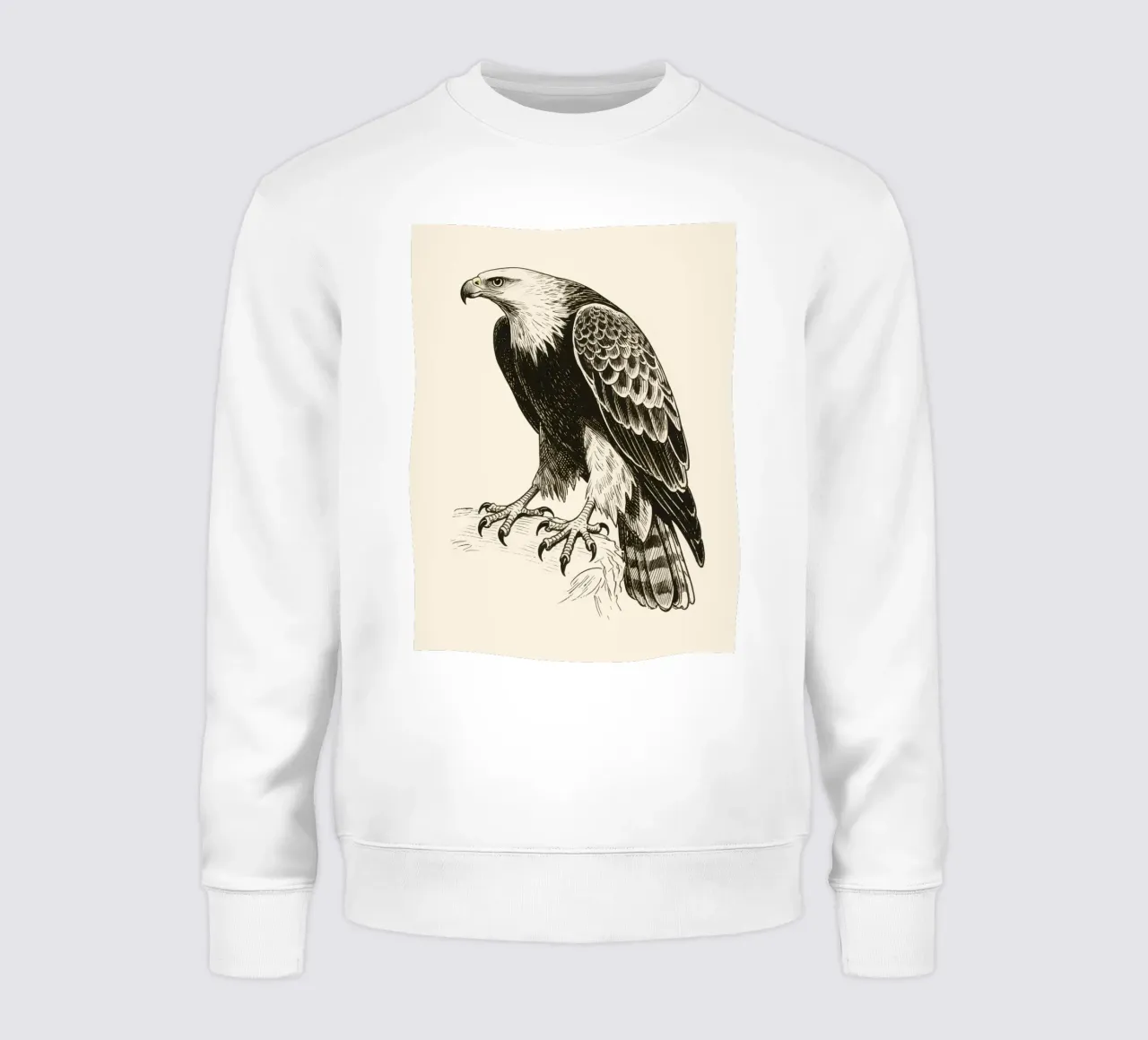 Falco felpa da knowledge