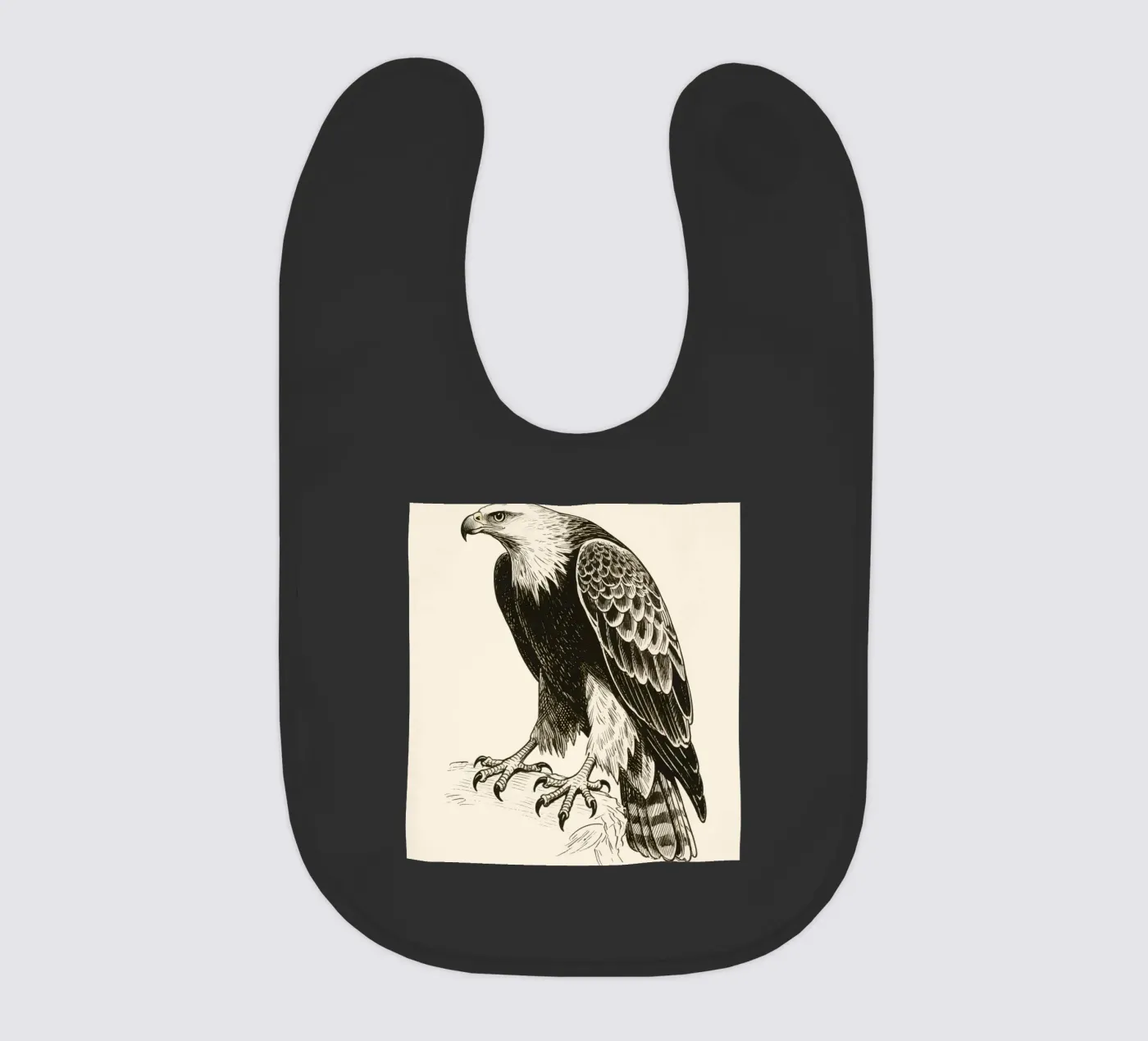 Falco bavaglino da knowledge