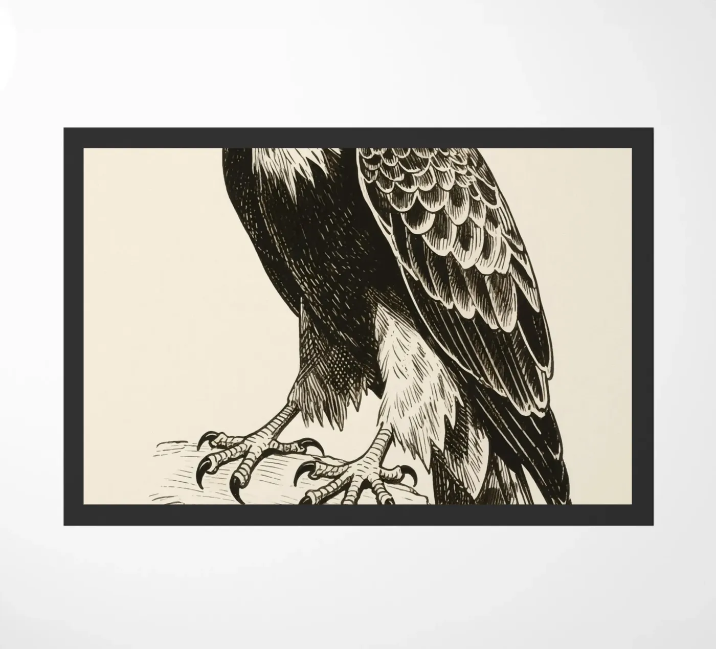 Hawk doormat by knowledge