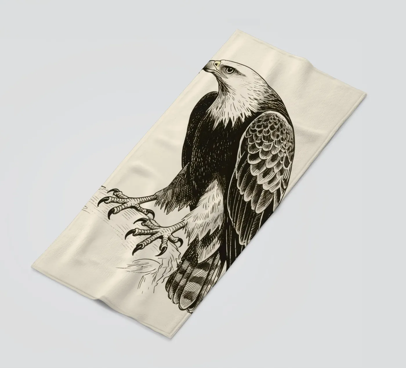 Falco telo mare da knowledge