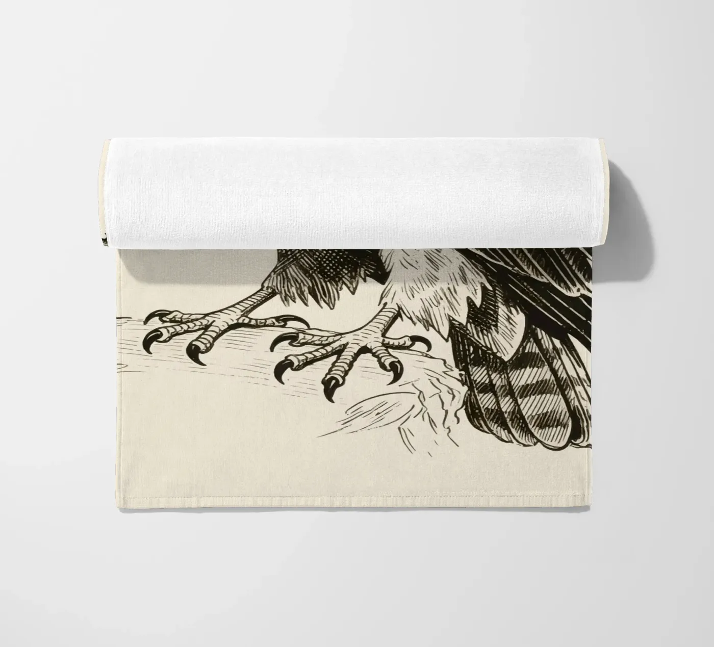 Falco telo mare da knowledge