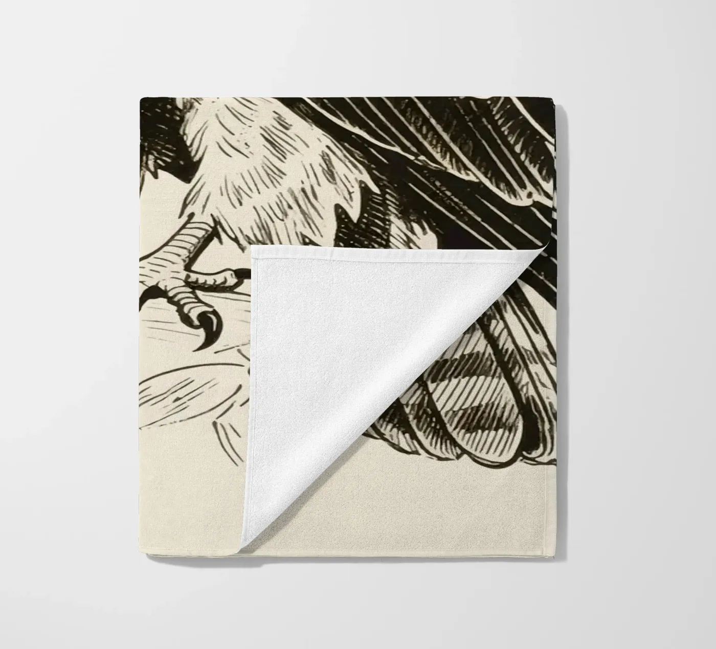 Falco telo mare da knowledge