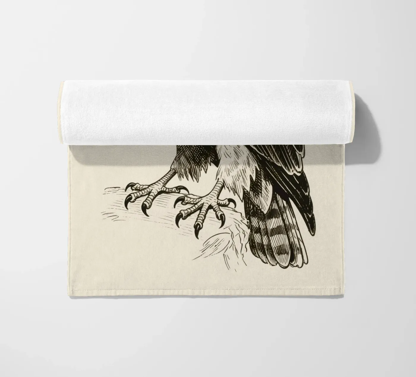 Falco telo mare da knowledge