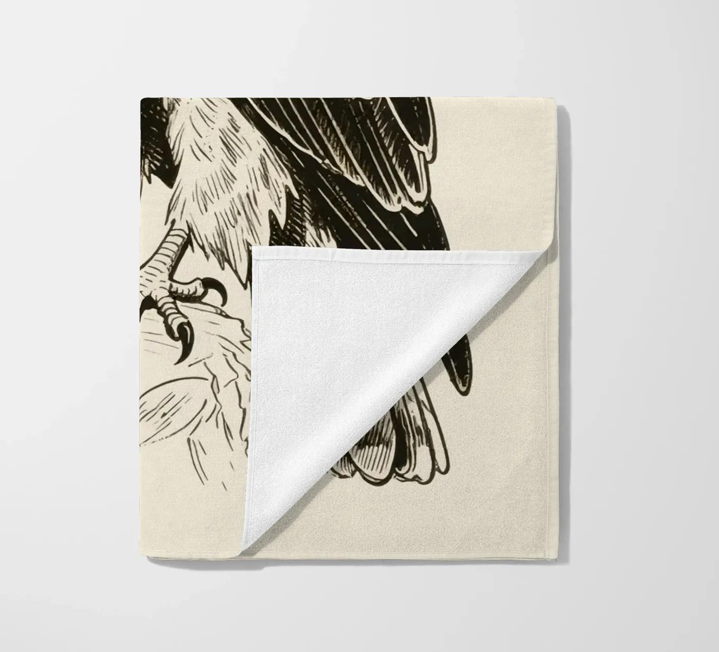 Falco telo mare da knowledge