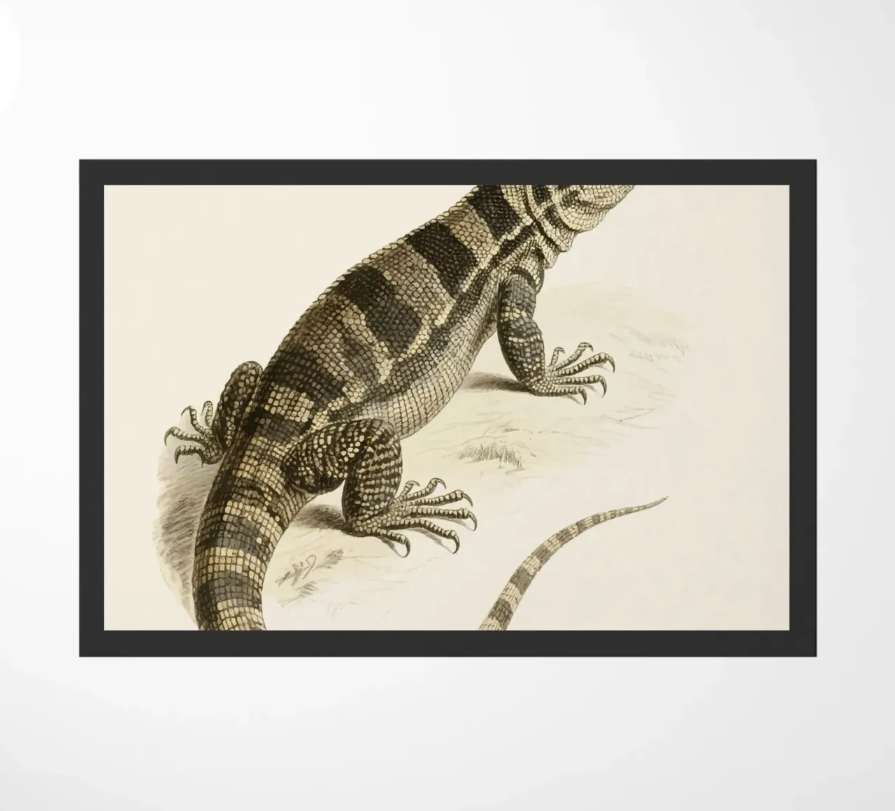 Lizard doormat by knowledge