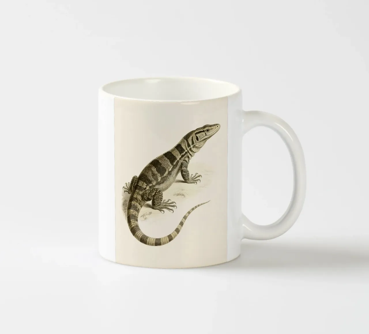 Lucertola tazza in ceramica da knowledge