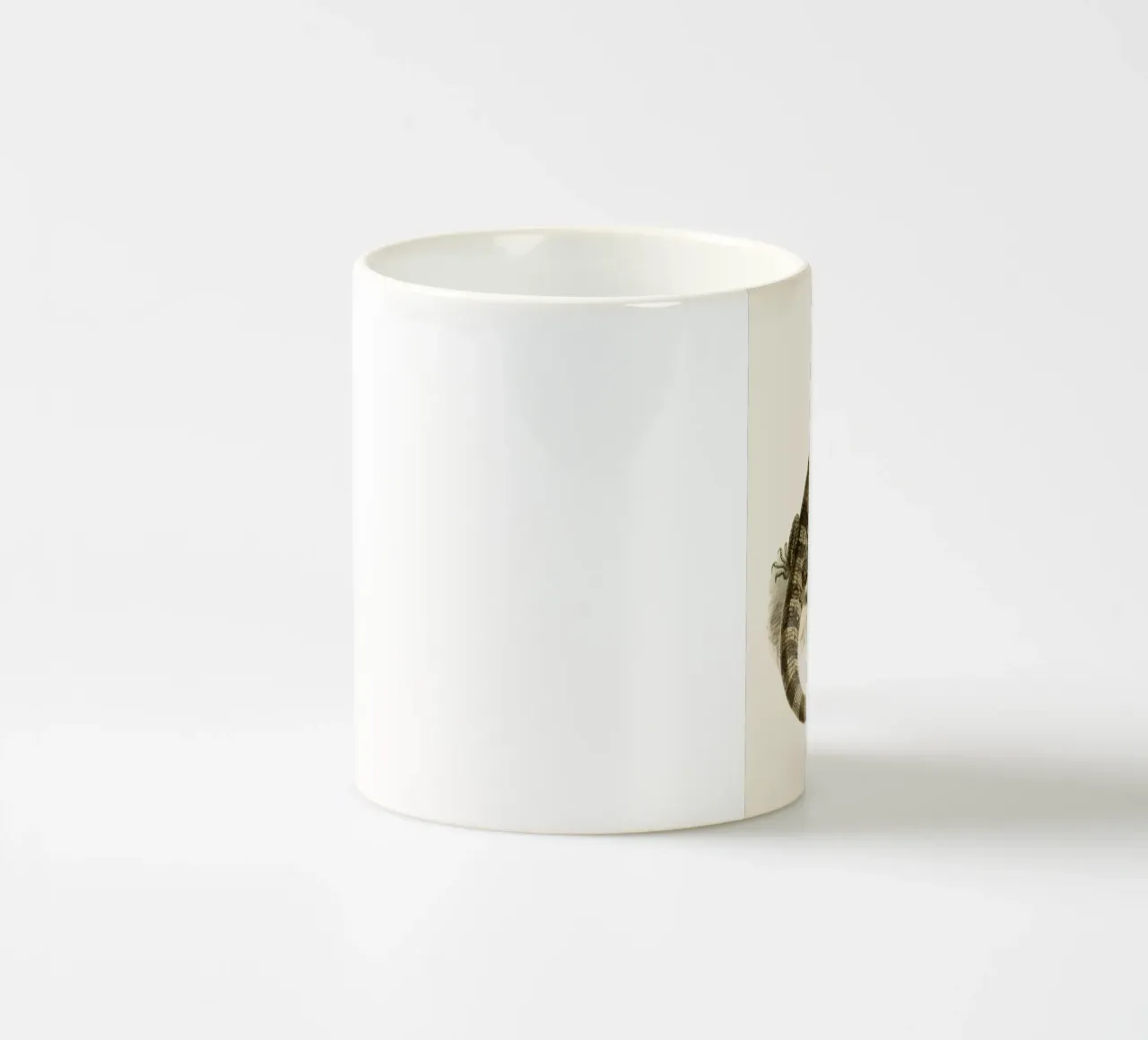 Lucertola tazza in ceramica da knowledge