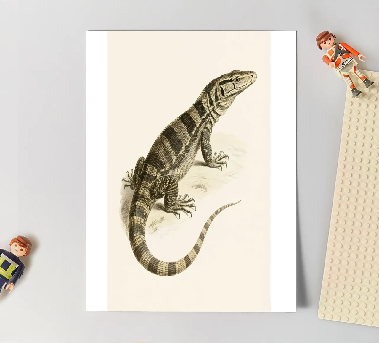 Lizard sticker sheet by knowledge