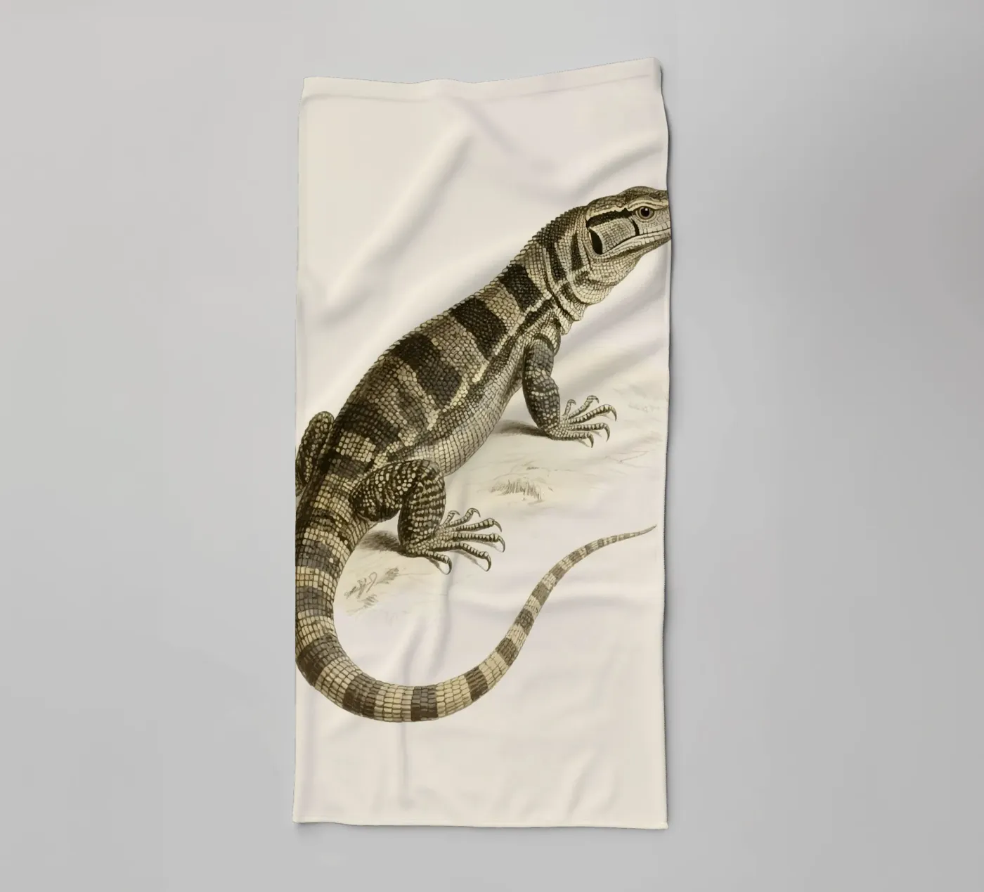 Lizard towel by knowledge