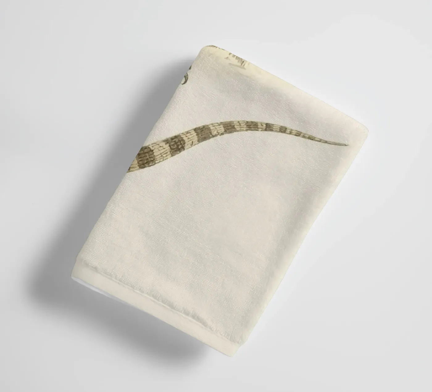Lizard towel by knowledge