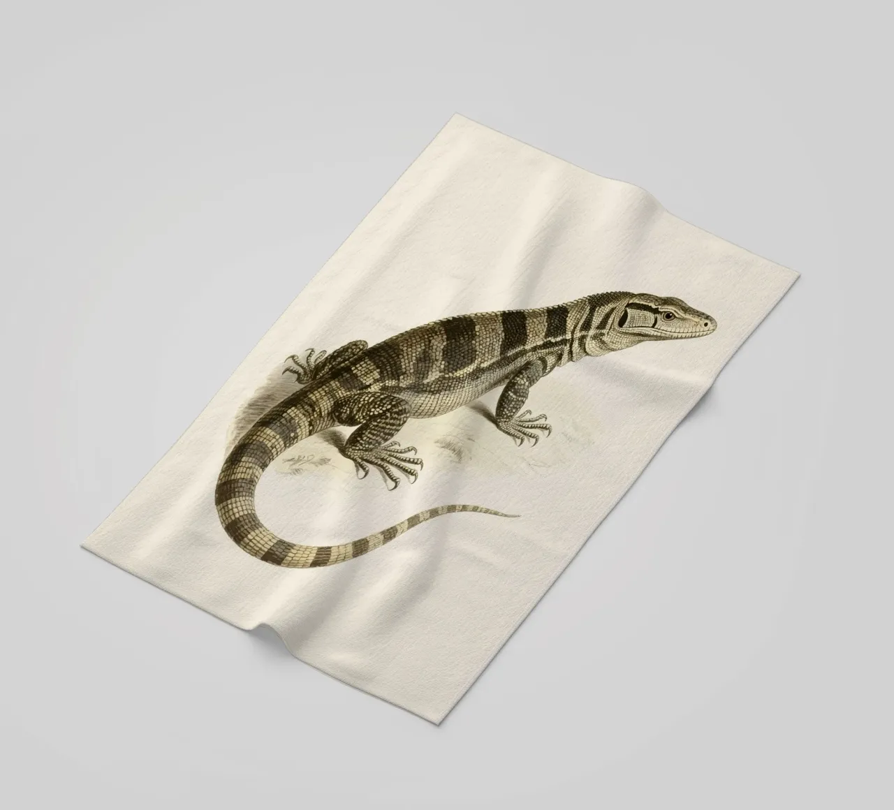 Hagedis strandhanddoek van knowledge