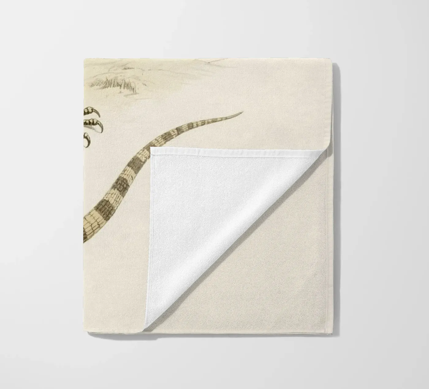 Lizard Strandtuch von knowledge