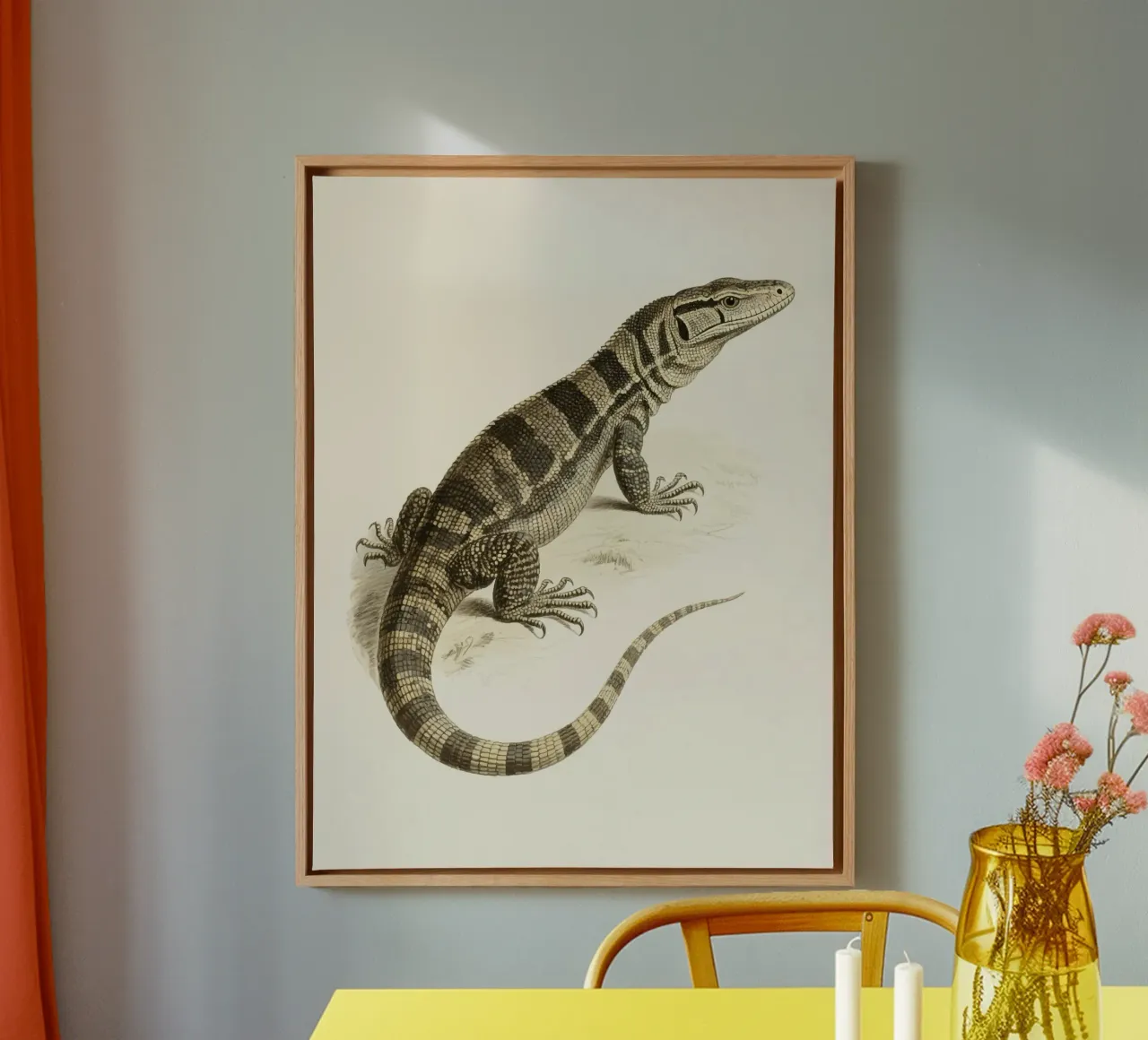 Lucertola tela da knowledge