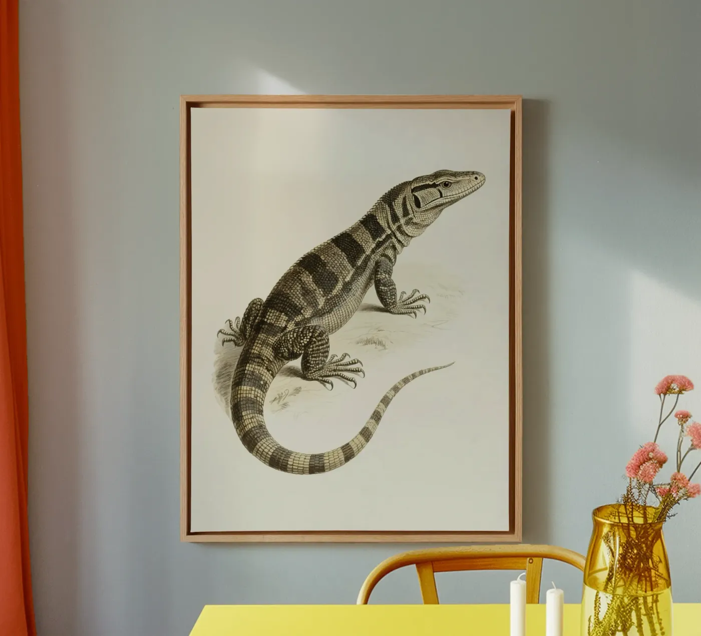 Lizard tela da knowledge