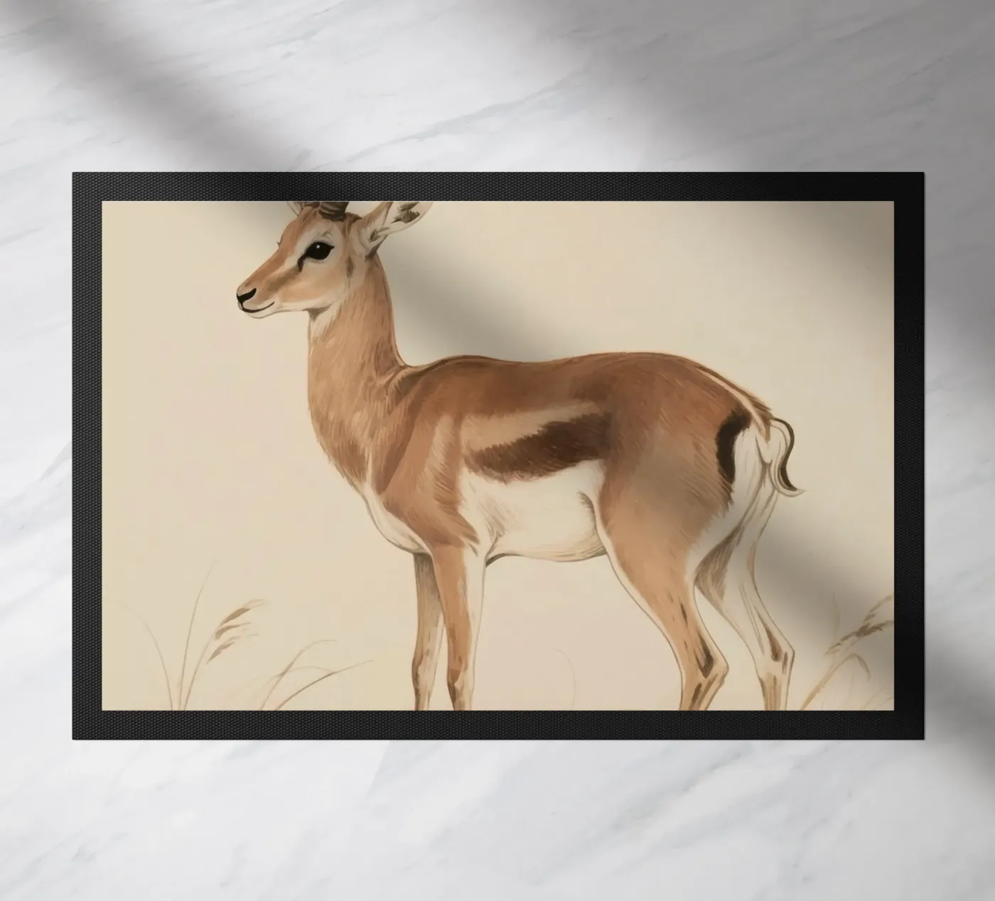 Antilope zerbino da knowledge