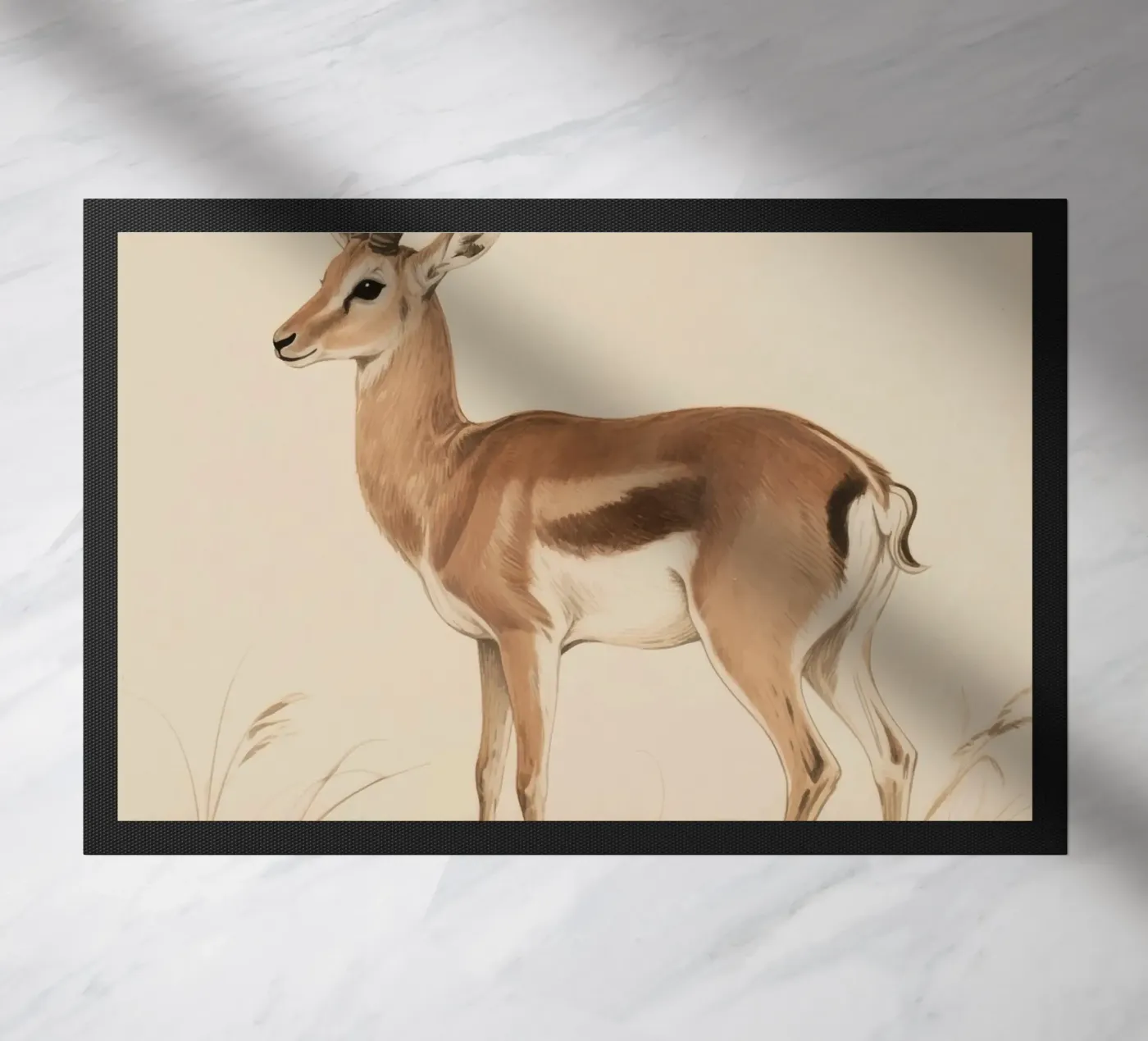 Antelope zerbino da knowledge