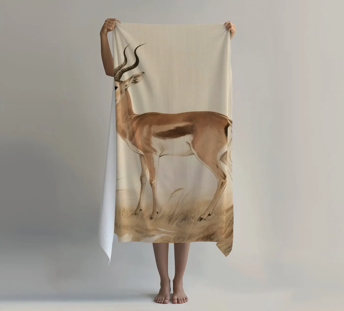 Antilope telo mare da knowledge
