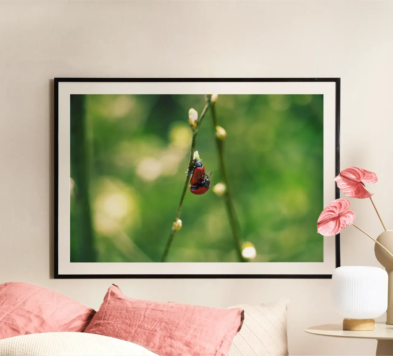 Amour dans les champs I - Coccinelles Photographie Print poster de jay