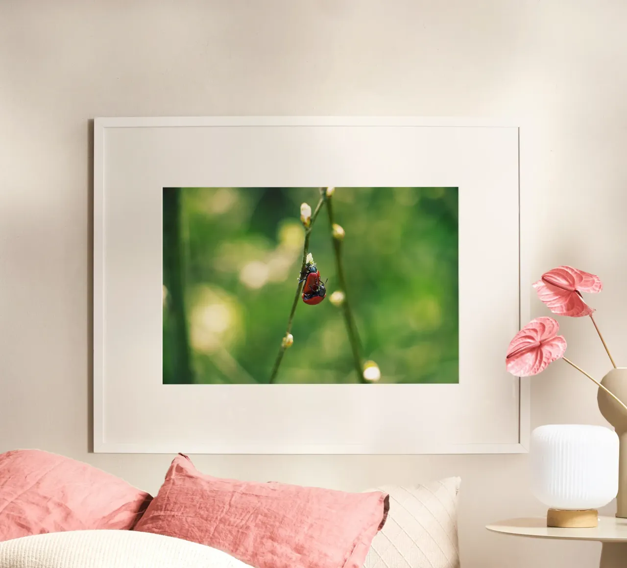 Amour dans les champs I - Coccinelles Photographie Print poster de jay
