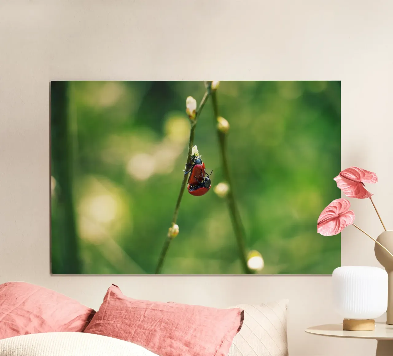 Amour dans les champs I - Coccinelles Photographie Print poster de jay