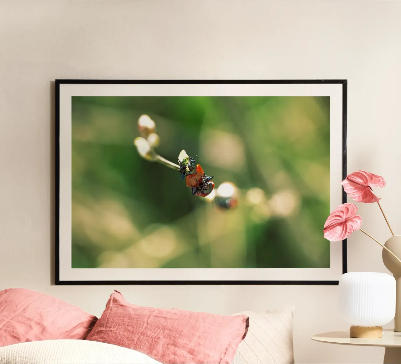 Amour dans les champs II - Coccinelles Photographie imprimée poster de jay