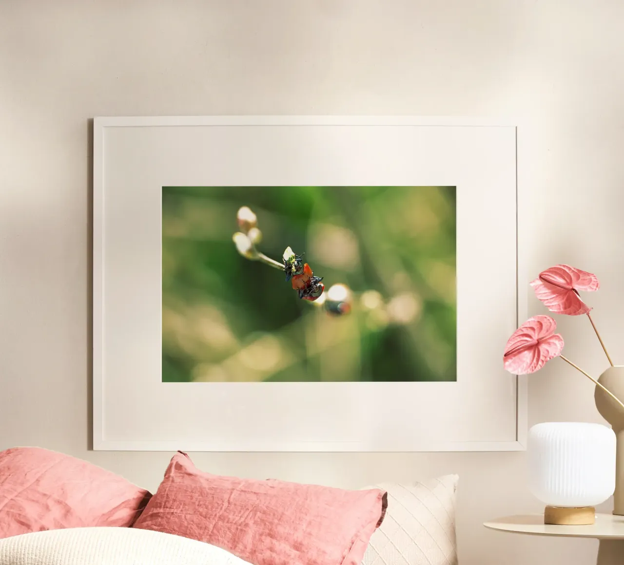 Amour dans les champs II - Coccinelles Photographie imprimée poster de jay