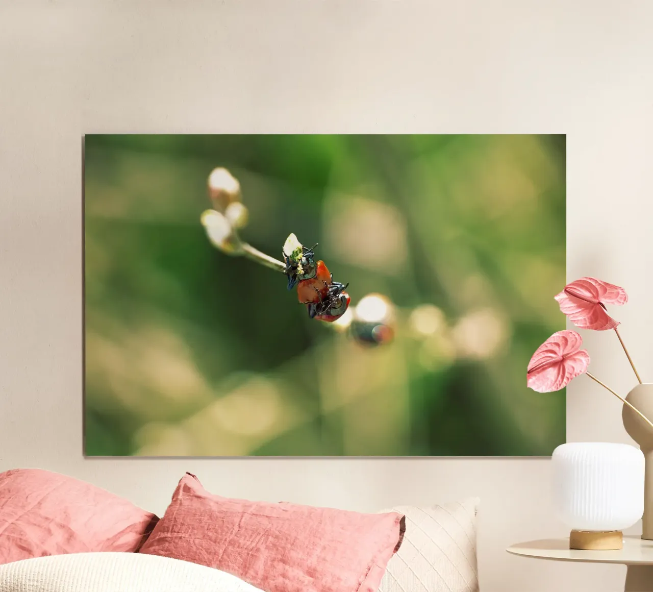 Amour dans les champs II - Coccinelles Photographie imprimée poster de jay