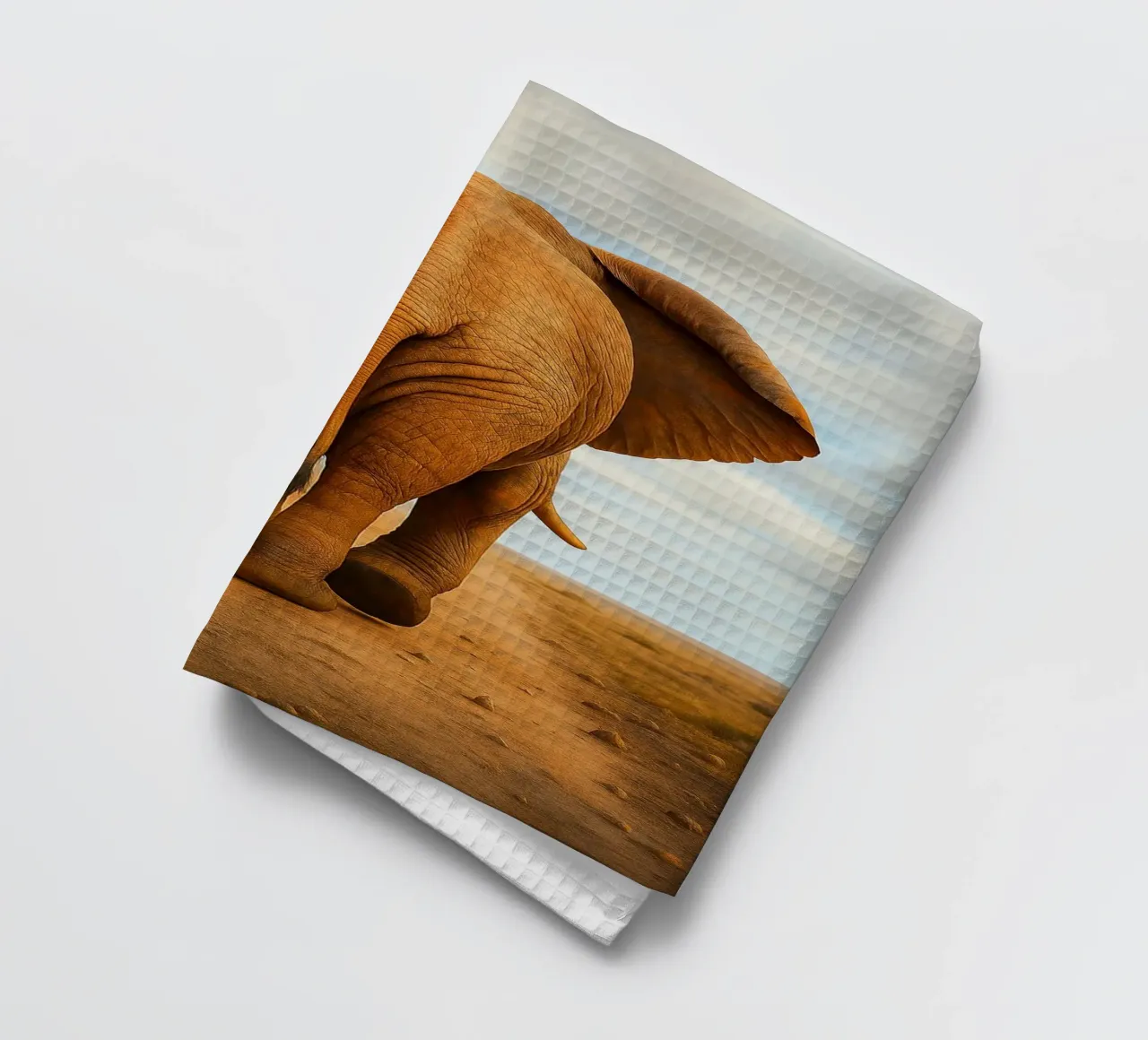 vue arrière d'un éléphant marchant torchon de landtengs