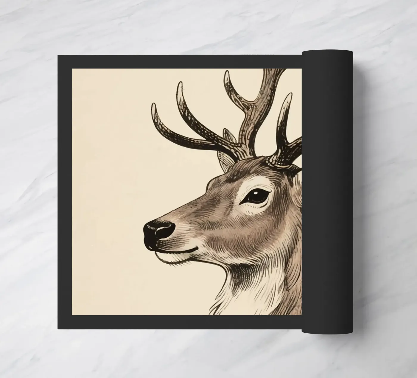 Renna zerbino da knowledge