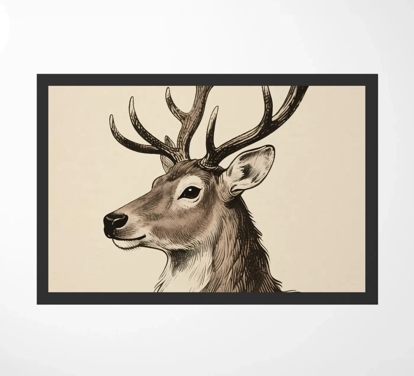 Renna zerbino da knowledge