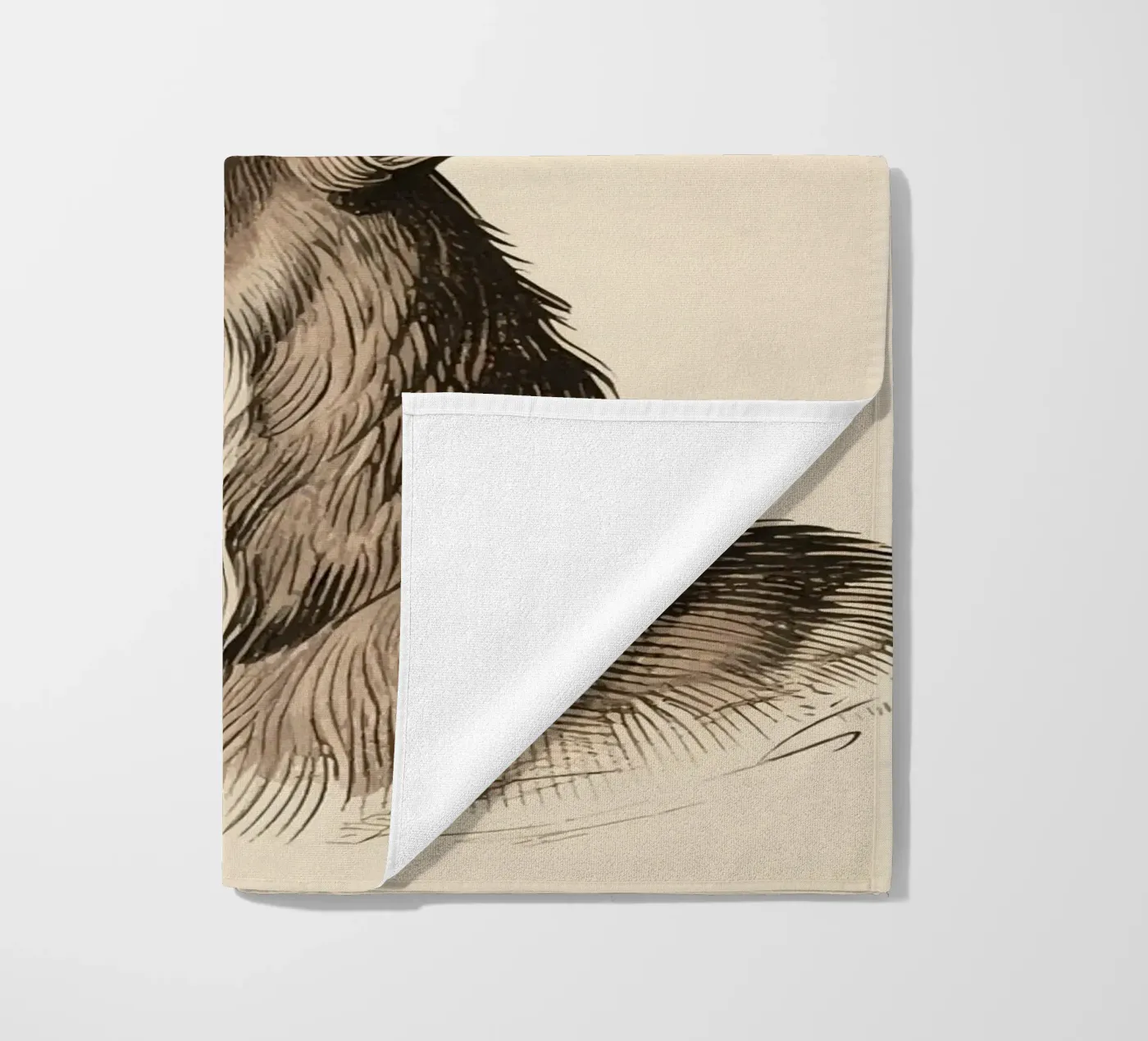 Renna telo mare da knowledge