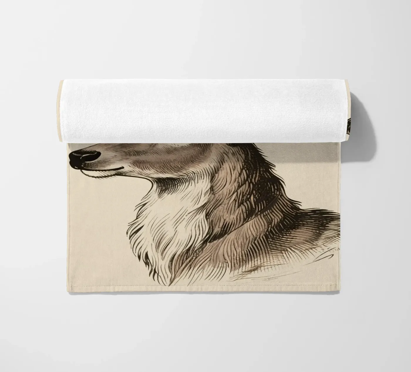 Renna telo mare da knowledge