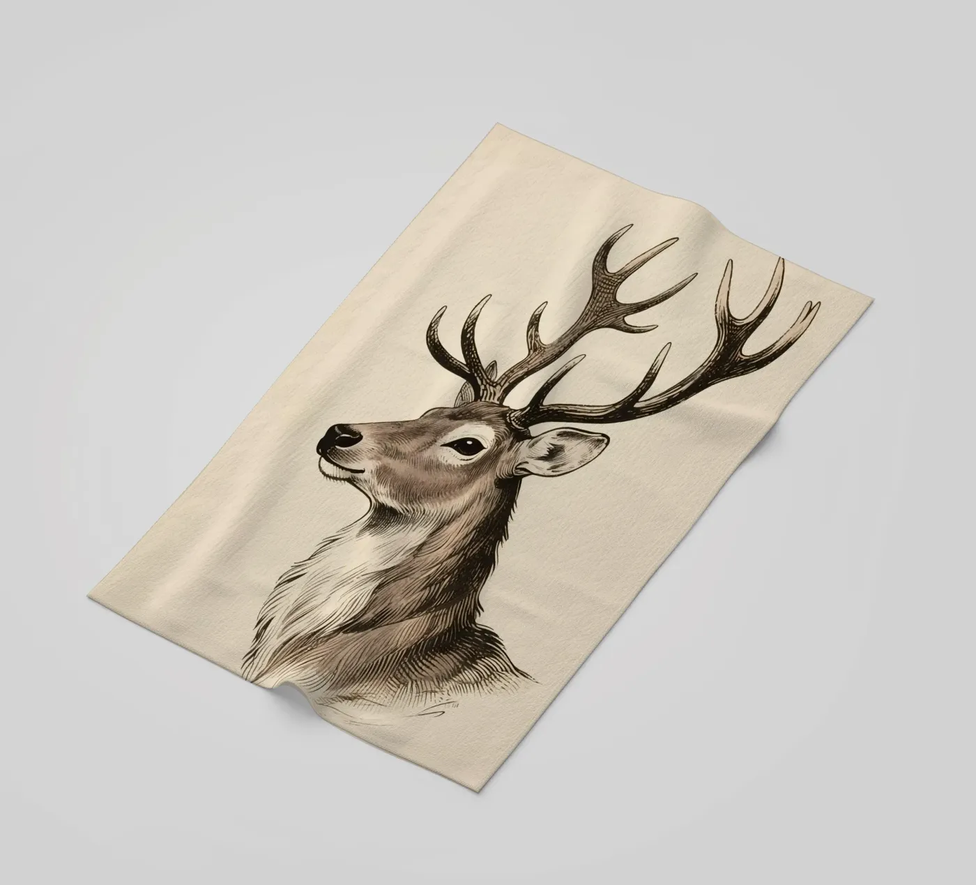 Renna telo mare da knowledge