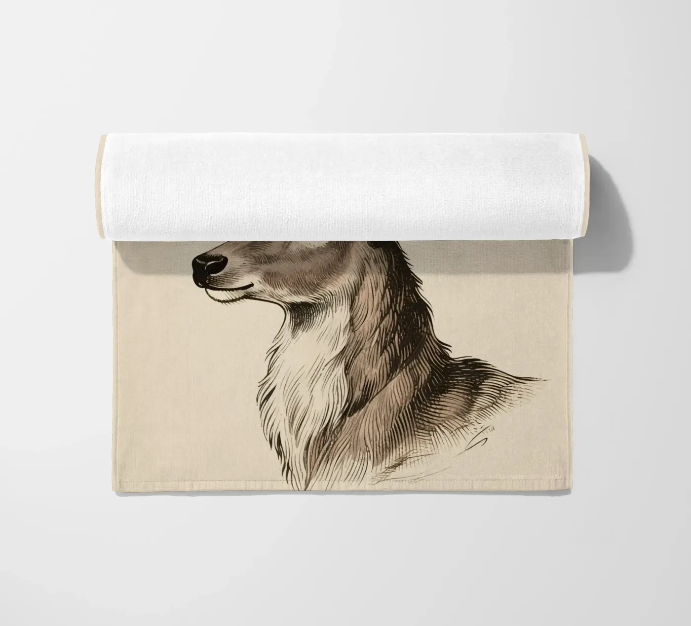 Renna telo mare da knowledge