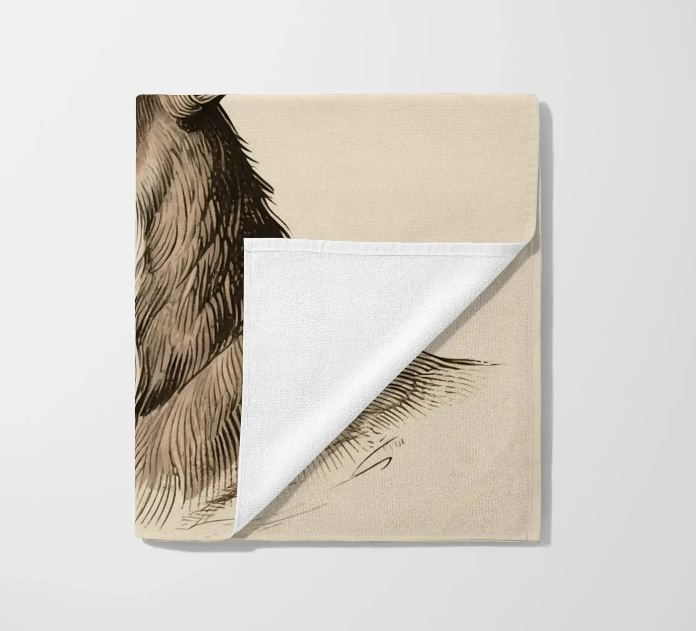 Renna telo mare da knowledge