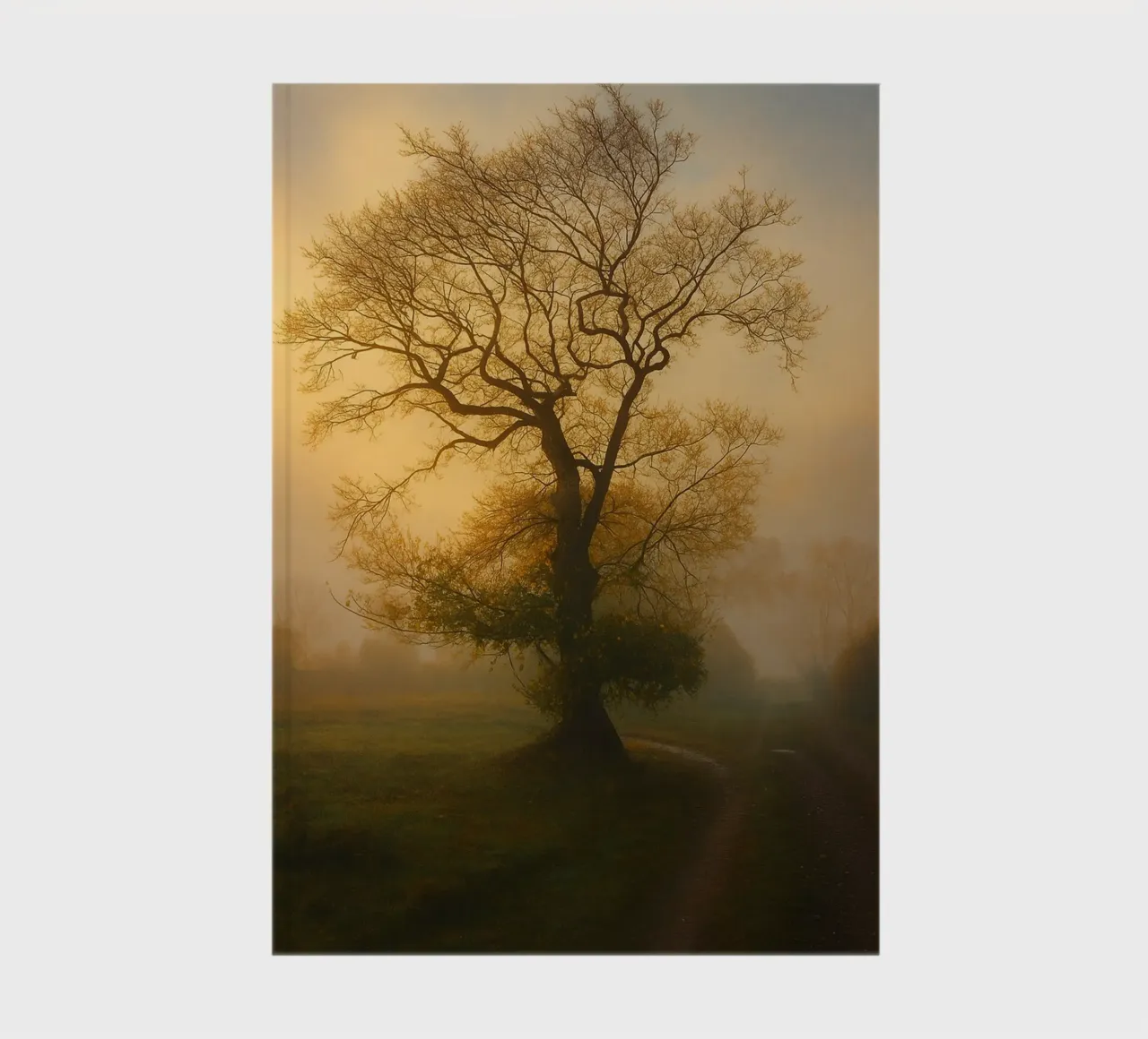 photographie de la vue d'un arbre au bord d'une route carnet de notes de landtengs
