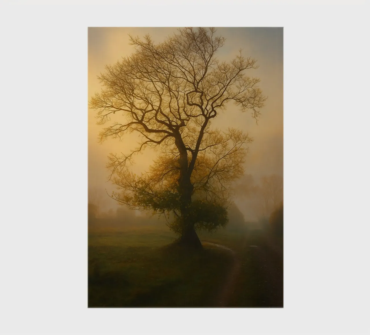 photographie de la vue d'un arbre au bord d'une route carnet de notes de landtengs