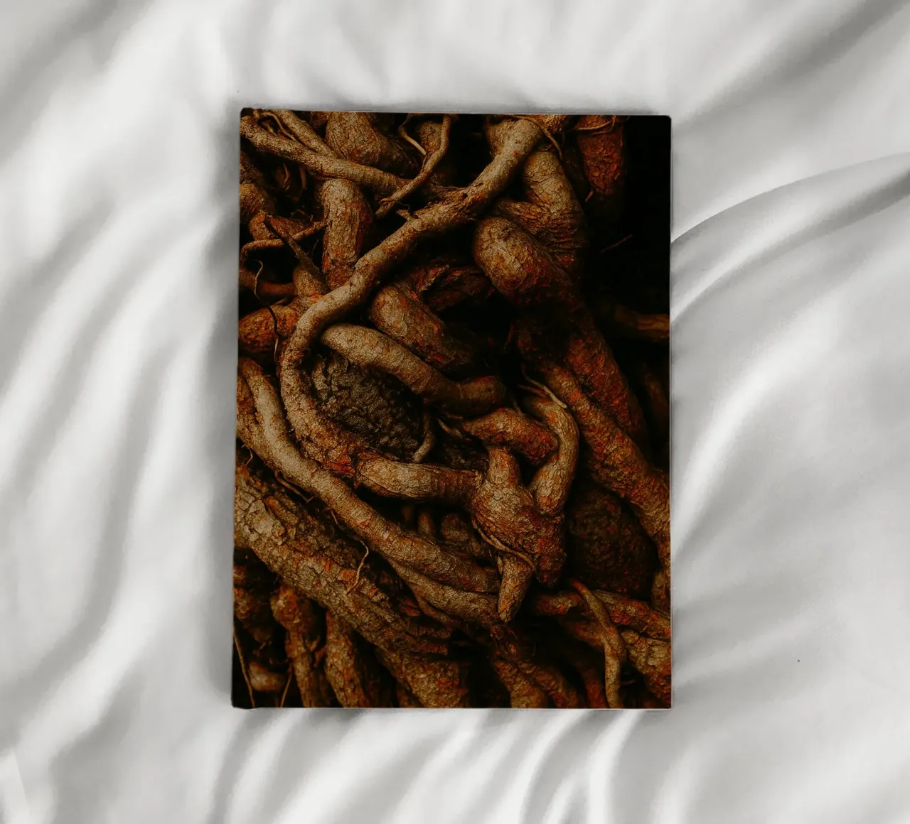 root of the tree view photography notebook by landtengs
