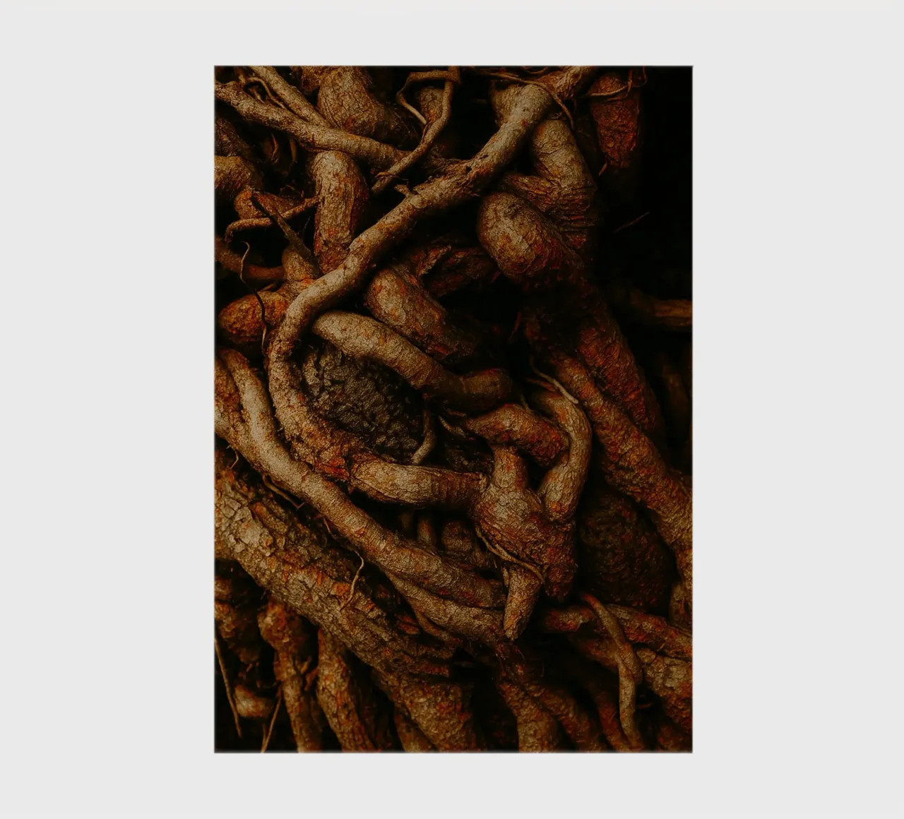 root of the tree view photography notebook by landtengs