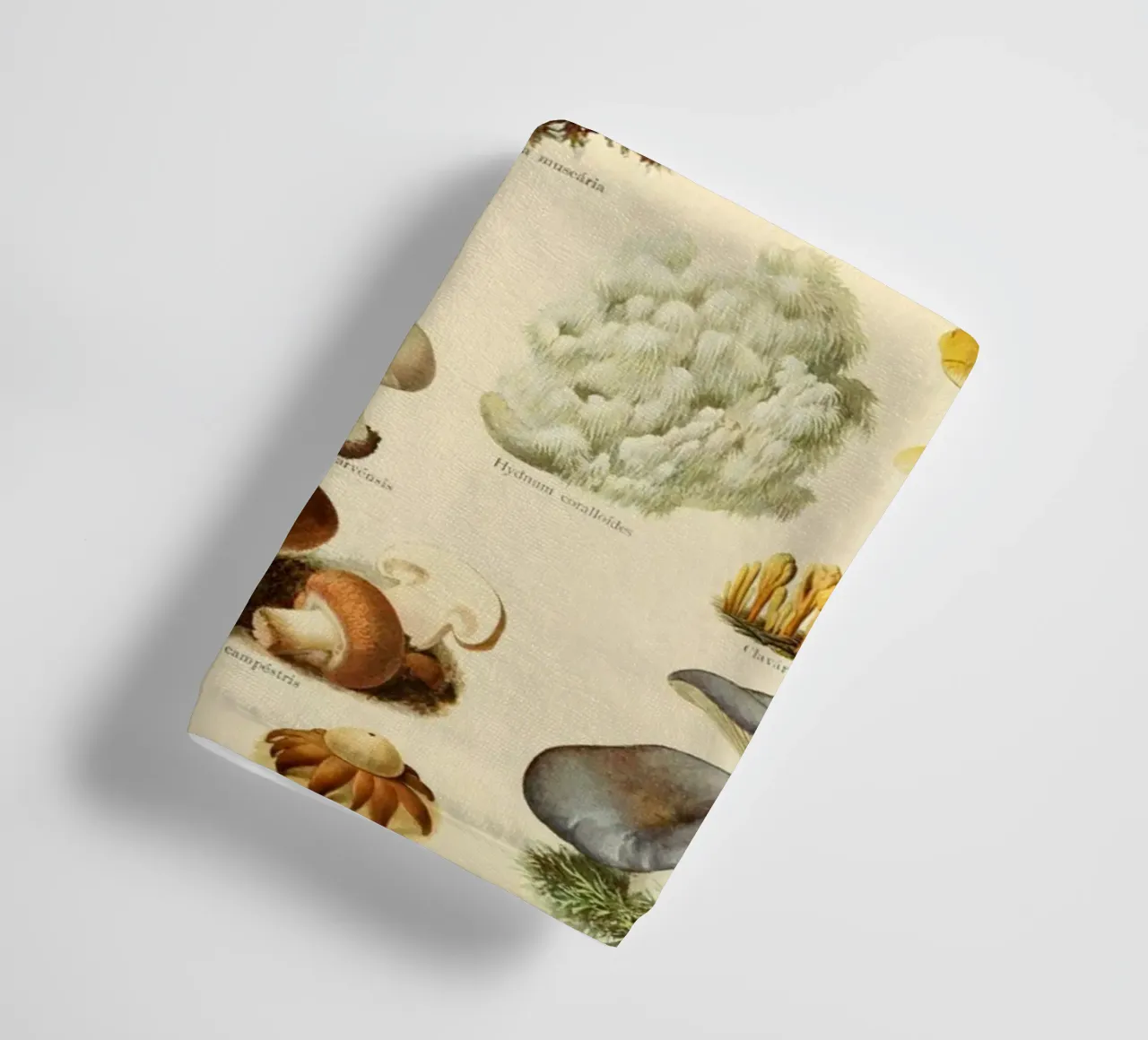 Funghi Illustrazione d'epoca asciugamano da bagno da liu