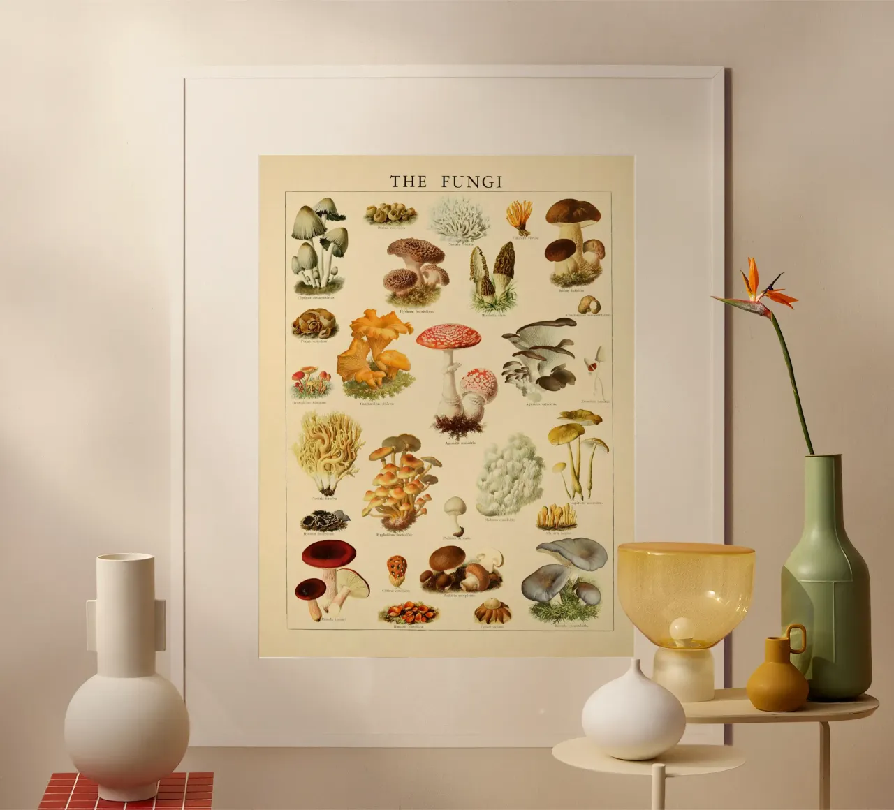 Mushrooms Vintage Illustration poster by liu