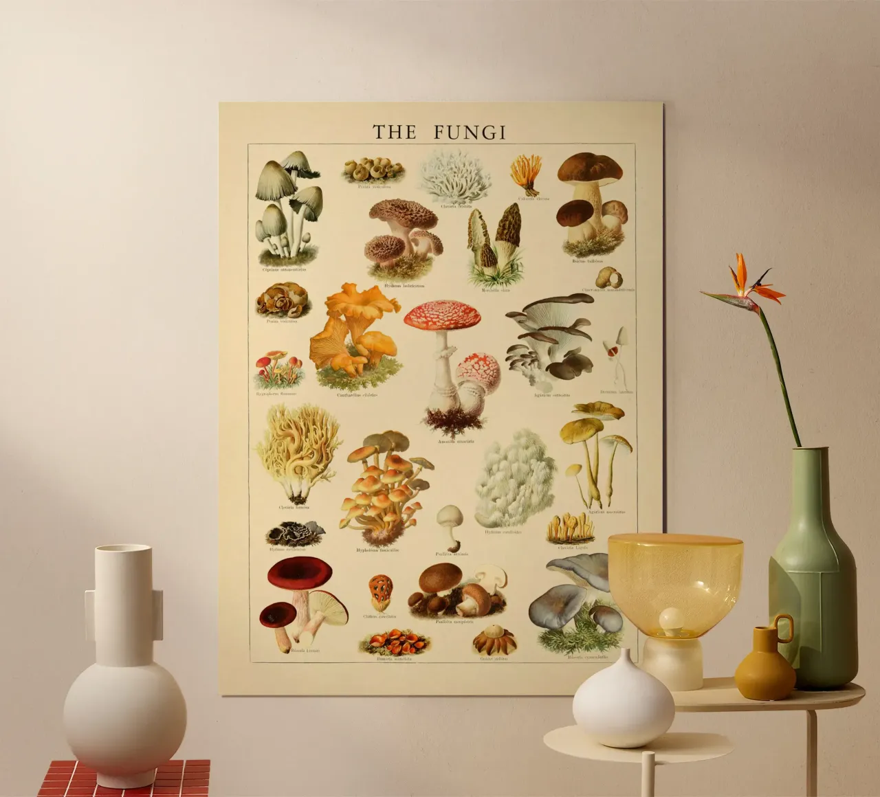 Mushrooms Vintage Illustration poster by liu